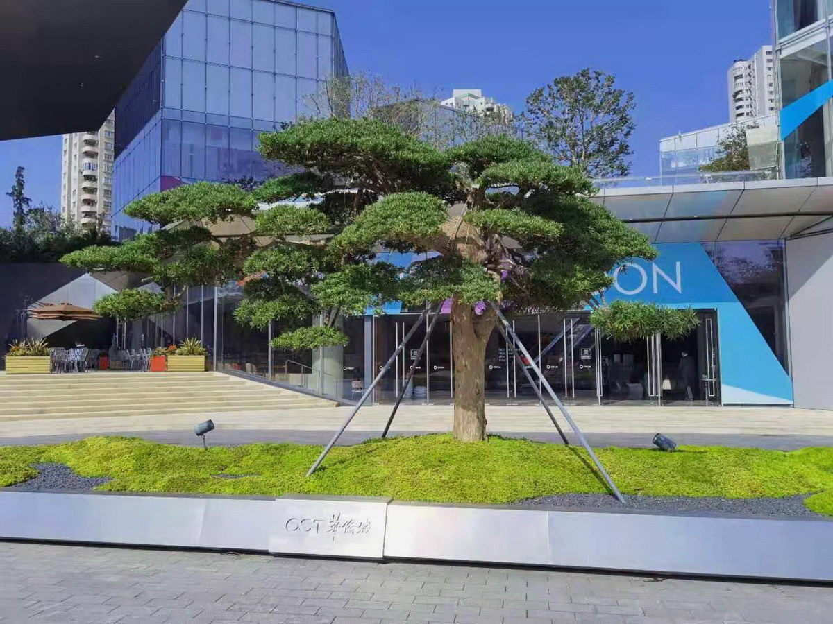 深圳華僑大(dà)廈景觀